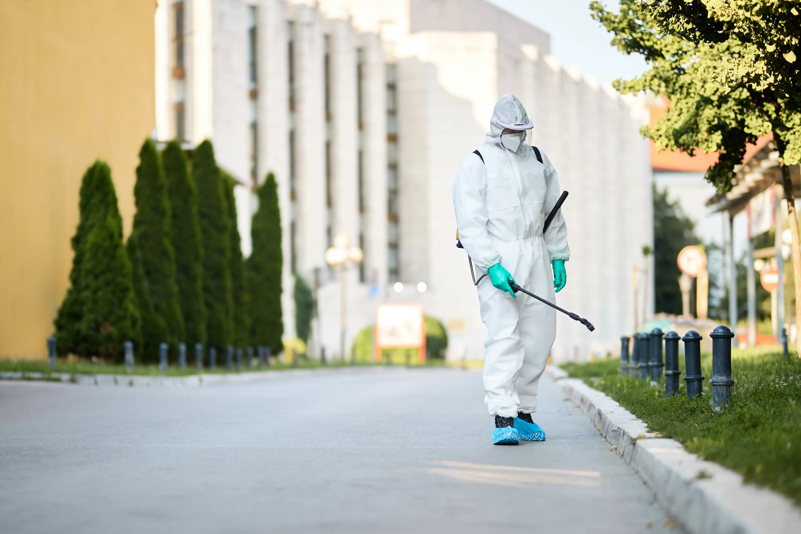 Pest Control Dorval Quebec