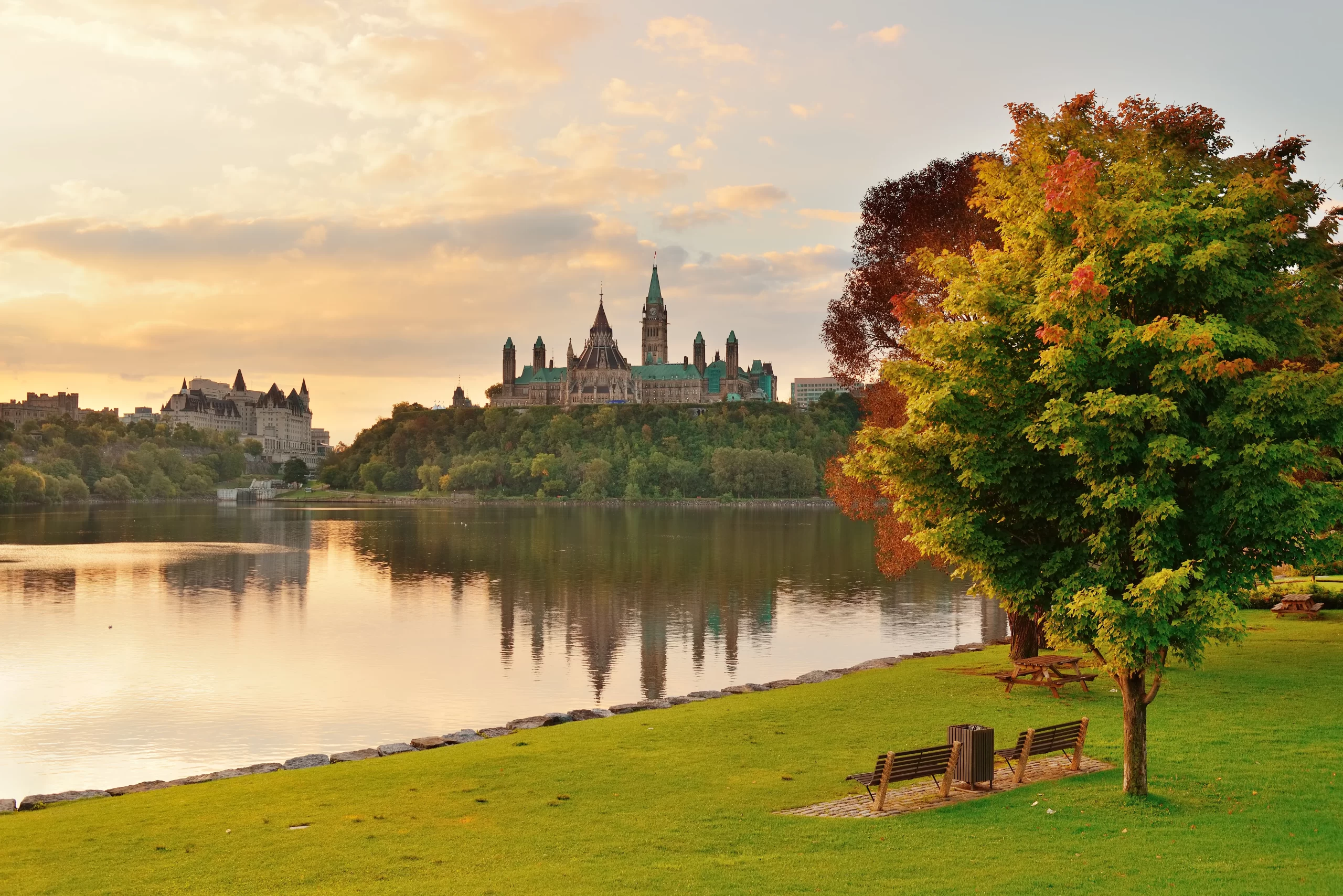 Pest Control Baie-D'Urfé Quebec