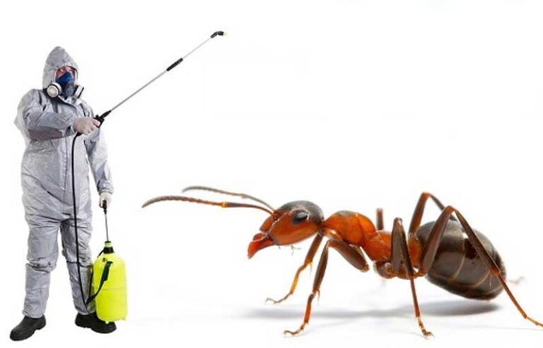 exterminators pest control services